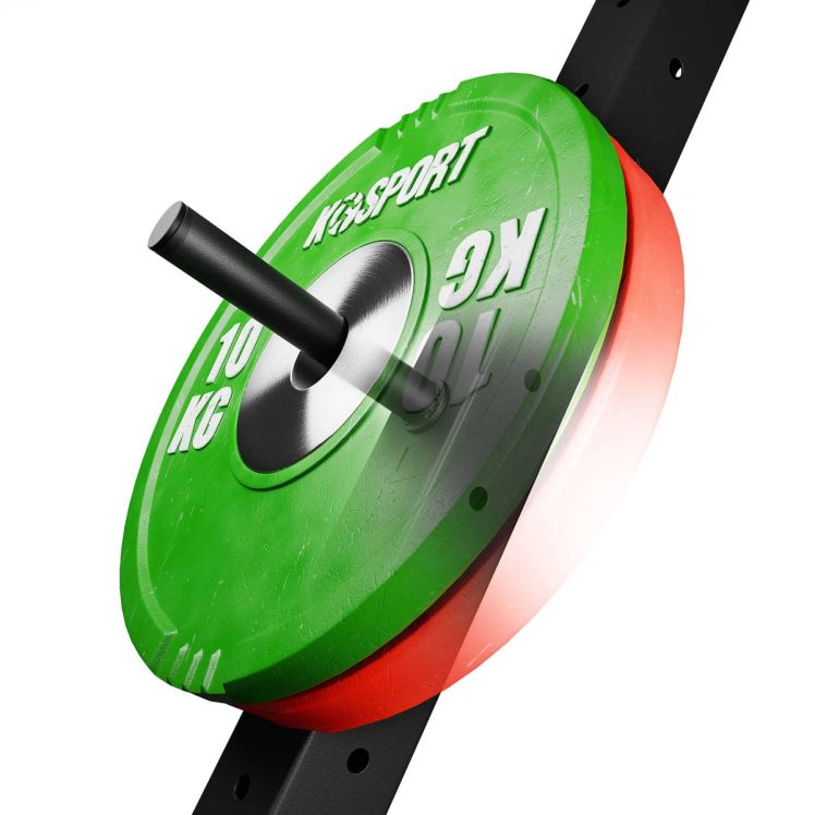 Rack Hantelscheibenhalter mit montierten Gewichtsscheiben im Home Gym