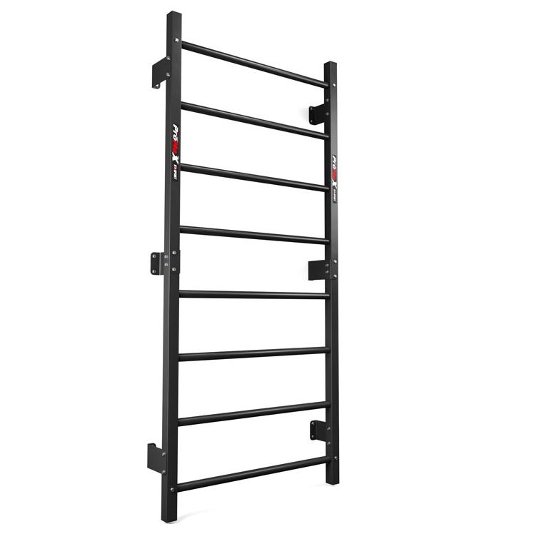 Schwarze Sprossenwand aus Metall zur Wandbefestigung