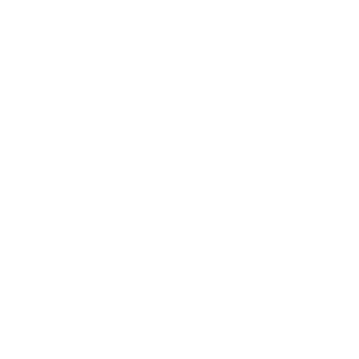 Technischen Daten - Klimmzugstange + Barren zur Montage auf Gymnastikleitern 2in1