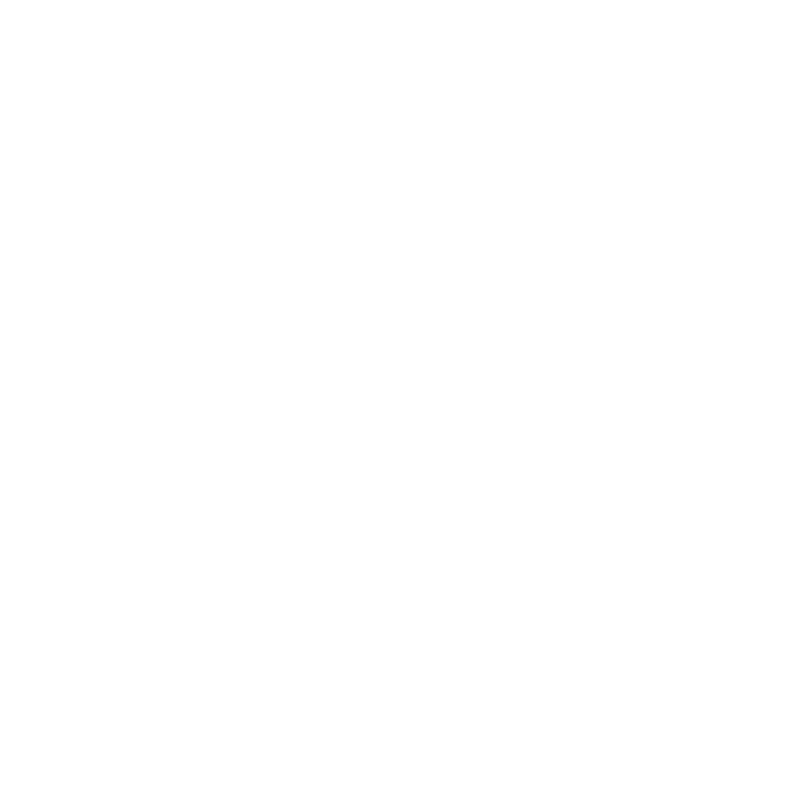 Technischen Daten - Sprossenwand mit Klimmzugstange/Dip Station
