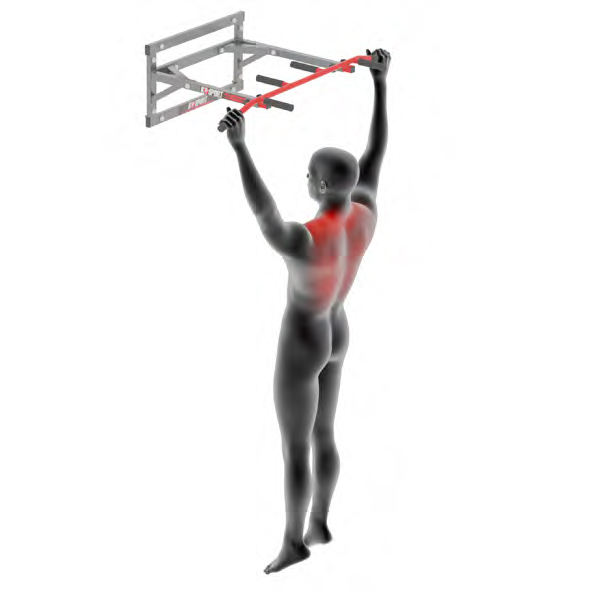Dummy an Klimmzugstange - Scapular Klimmzug